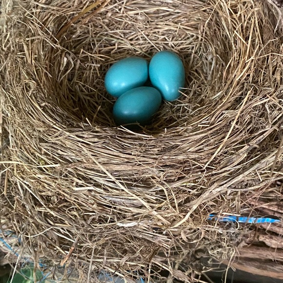 ANY REASONABLE OFFER ENTERTAINED🌺🌿🌺 - Picture 6 of 15